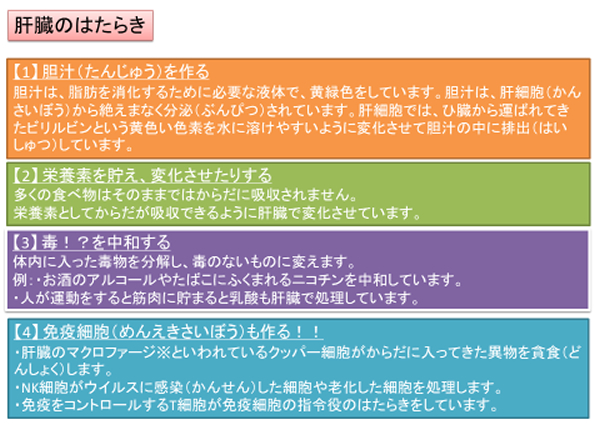対象疾患 肝臓 公式 昭和大学 江東豊洲病院 消化器センター